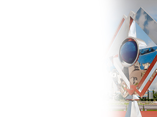 Профессиональный подход