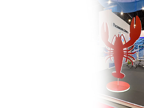 Обслуживаем по гарантии